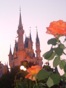 UConnLovesDisney