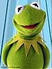 Feeln'Froggy
