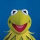 kermit0223