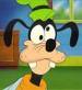 goofy4wsp