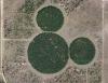 Hidden Mickey