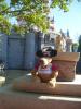 HenryHunny