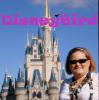 DisneyBirdy