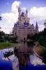 wdwgrl377