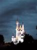 wdw9920