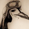 DisneyPenguin
