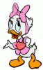 webbyduck