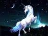 MoonlightUnicorn