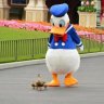 duckieb