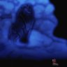 mufasa1982