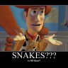 Snakes in a boot