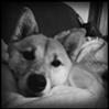tiredandwired