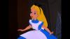WonderAlice