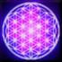 NuMystic