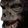 VapeWithApe