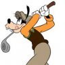 DVCPGA