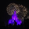 Disney fan 13
