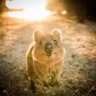 Jarrod_S