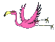 pinkflamingo