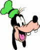 SirGoofy