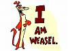 team weasel