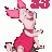 piglet33