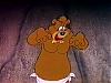 junior_bear