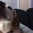 Sophie_2003