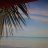 castaway3