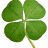 FourLeafClover