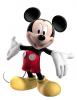 fanmickey