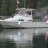 WhalerFan