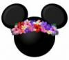 LotusFlower
