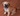 Lucydropit