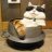 Cool Cat