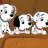 Disney_Dogs_Rule