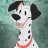 Pongo111