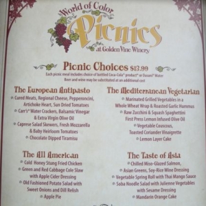 World of Color Picnics