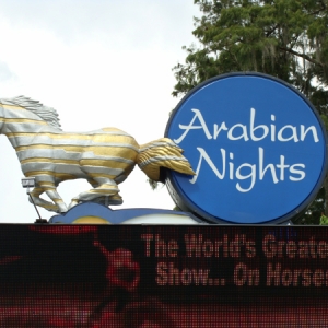 Arabian Nights Performer for Day