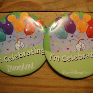 Magic Kingdom to Disneyland in One Day