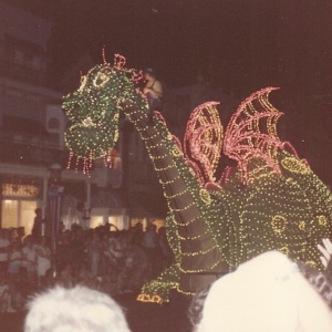 Previous Disney Vacations
