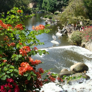 San Diego Zoo Safari Park Roar N Snore