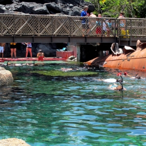 Typhoon Lagoon