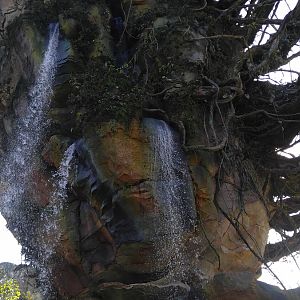 Pandora - The World of Avatar