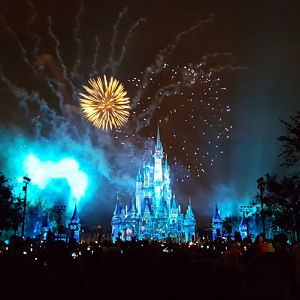 Magic Kingdom Christmas Dec 2017