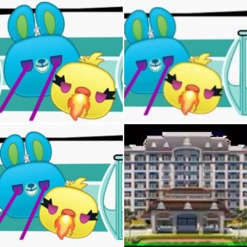 SIgnature Images