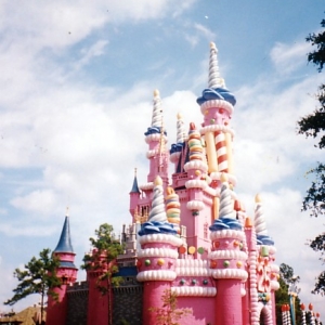 25th Anniversary Castle "Cake"