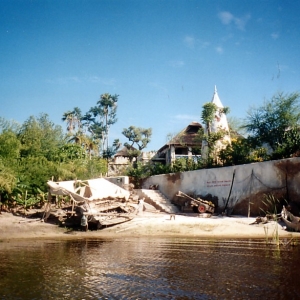 Harambe scenic shot.