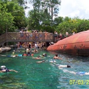 Shark Reef at TL.