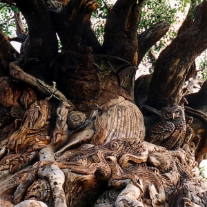 Tree of Life detail of animals.